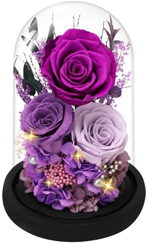 Casaido Rosas preservadas para entrega, regalos de rosas para el día de la madre para mamá, flores moradas para siempre en cúpula de cristal para esposa, novia, abuela, regalo de cumpleaños de