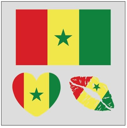 10 Blätter Nationalflagge Temporäre Tattoos Aufkleber Aufkleber Wasserfeste Temporäre Tattoos Flagge körperflagge Weltflaggenaufkleber Erwachsener