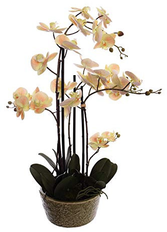 mucplants Orchidee Real Touch 70cm Peach im Keramiktopf Kunstblumen künstliche Orchidee