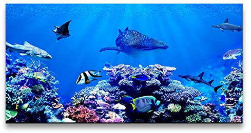 Paul Sinus Leinwandbild 120x60cm Korallenriff Bunte Fische unter Wasser Tauchen Ozean Hai