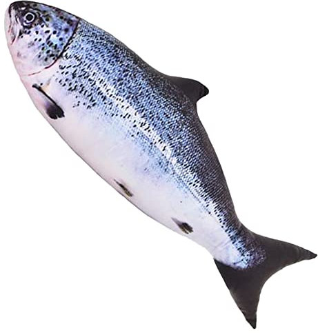 OUKEYI 80,9 cm (80 cm) Simulations-Fisch, Plüschtier, dekorativ, weich, Fisch, dekorativ, übergroß, kreatives Geschenk für Zuhause (Salmon)