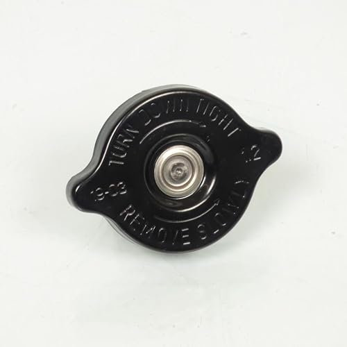 RIEJU - Tapa de radiador para moto Yamaha 50 DT