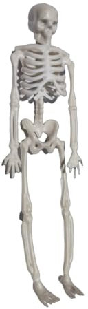 Halloween Skelett,Halloween Plastikskelett,Realistische Menschliche Skelette,Mini-Mensch-Skelett für Party Requisiten Gruseliger Friedhof Geisterhaus Rasen Garten Dekoration,Halloween Dekoration,17CM