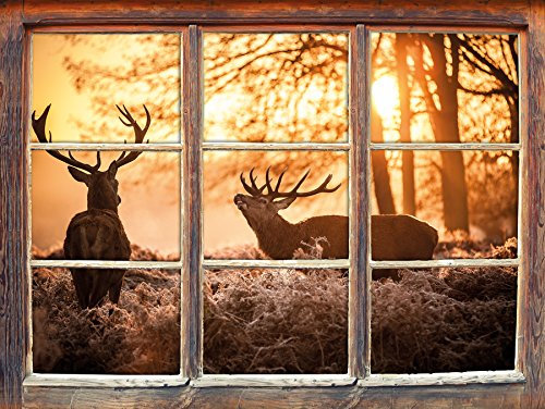Stil.Zeit Möbel Hirsch Rivalen kämpfen Fenster 3D-Wandsticker Format: 62x42cm Wanddekoration 3D-Wandaufkleber Wandtattoo
