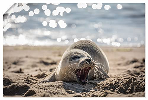 ARTLAND Wanddeko Poster & Kunstdrucke Wandposter 90x60 cm Querformat Baby Robbe Seehund Meer Strand List Sylt Friesland U3SZ