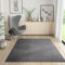 RUGURA Alfombra de Salón Dormitorio Habitación Comedor Pelo Corto y Suave Grande 200x290 cm Gris Antracita Unicolor Moderna Nordica Lavable Antideslizante