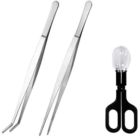 Kathson 15 - Pinzette lunghe da cricket, pinza da cricket, per serpente, lucertola, geco, ragno, drago con orsetto (3 pezzi)