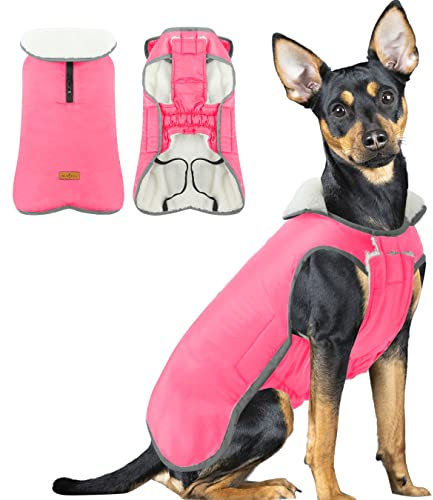 Hundemantel Wasserdicht, Hundejacke Französische Bulldogge, Hund Fleece Weste mit Reißverschluss, Warme Hundebekleidung für Kleine Hunde Chihuahua Dackel französische Bulldogge Teddy, Pink M