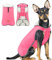 Hundemantel Wasserdicht, Hundejacke Französische Bulldogge, Hund Fleece Weste mit Reißverschluss, Warme Hundebekleidung für Kleine Hunde Chihuahua Dackel französische Bulldogge Teddy, Pink M