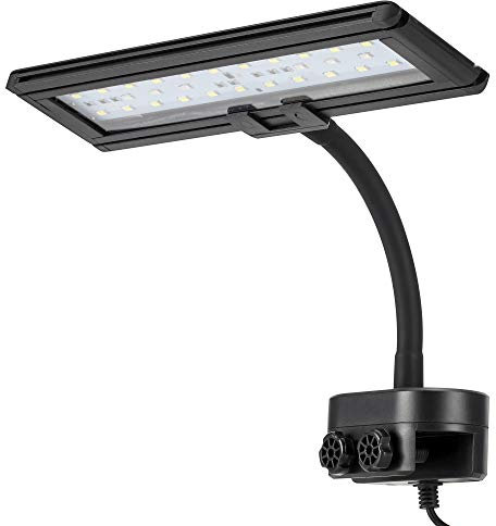 hygger Blue White LED Aquarium Light with Gooseneck Clamp Clip on Small Led Light for Planted Saltwater Freshwater Fish Tank (21W)