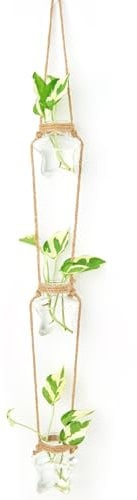 XXXFLOWER Hydroponic Wall Hanging Plant Propagation Station Set of 3 Star Glass Vases Air Plant Terrarium Gardening Gifts for Women Birthday Plant Lovers Plant Starter for Home Office Decor