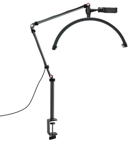 Pavewood Luz de VíDeo LED de 16 Pulgadas Luz de Anillo de Escritorio en Forma de Media Luna para SalóN de Belleza Maquillaje TransmisióN en Luz de Relleno Enchufe B-EU