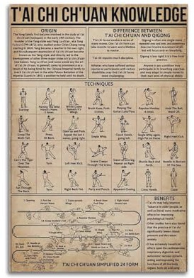 SANWYA Kung-Fu-Wissensschild, Tai Chi Chuan, Anatomie-Infografik-Poster, Kampfkunst, Hall-Kunst, Wohnzimmer, Schlafzimmer, Poster, Gemälde, dekorativer Maldruck, Leinwand, Wand, 40 x 60 cm