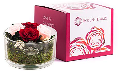 Rund Vase- 4 Rose - Mini - Rose Dark Red