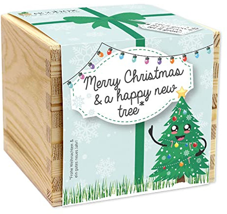 Feel Green - WE CREATE NATURE ecobox Arbre de Noël Merry Christmas and a happy new tree, plantes dans la boîte en bois 11 x 11 x 10 cm, fabriqué en Autriche, idée cadeau durable, kit de culture