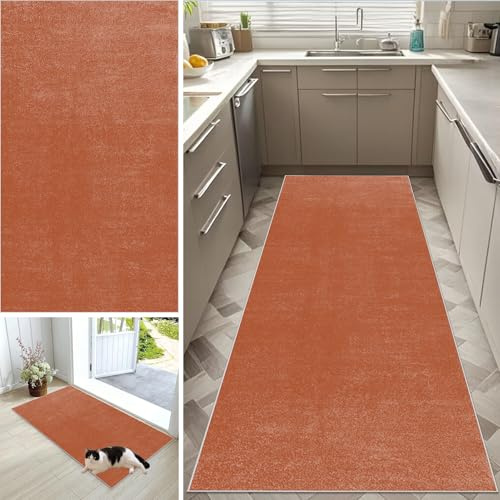 CXUEHNL Teppichläufer Flur, Küchenteppich Waschbar 100 x 300 cm rutschfest Lang Fußmatte Kurzflor Teppich Flurteppich Küchenläufer für Küche Flur Wohnzimmer Entryway Wäsche Daneben