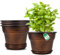 Lot de 4 pots de fleurs décoratifs en résine avec soucoupe pour intérieur et extérieur, 27,9 cm, cuivre