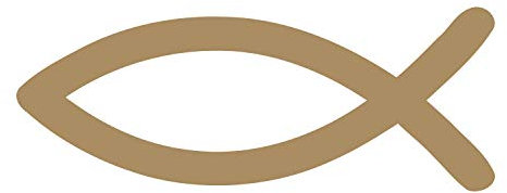 timalo® Christlicher Fischaufkleber fürs Auto 9x3cm Ichthys Autoaufkleber Fische (gold)