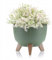 HowHomely Deko Blumentopf mit 3 Beinen Hoch 23 cm - Grün Blumenübertopf - Langlebige und Leichte Übertopf 30 cm Durchmesser