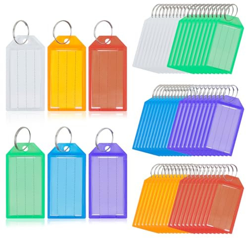 AiQInu Porte Clés Porte Clef 60 Pièces de 5.8 cm avec Étiquettes en Papier Vierge Lignées Couvercles Transparents et Anneaux Fendus Identificateurs d'articles Robustes, 6 couleurs