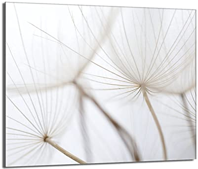 Herdabdeckplatte 60x52 cm Einteilig Glas für Elektroherd und Induktion Herdschutz Spritzschutz Glasplatte Deko Schneidebrett, Löwenzahn Beige