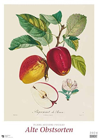 Poiteau: Alte Obstsorten - Kalender 2024 - DUMONT-Verlag - Wandkalender - 50 cm x 70 cm