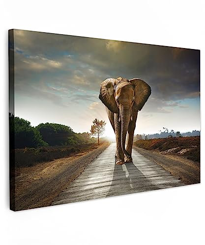 MuchoWow© Wandbilder Groß 120x80 cm XXL Schlafzimmer Home Deko Wohnung Bild Tier Wohnzimmer Fotoleinwand Wand Bilder Tierbilder auf Leinwand Wall Decor Wanddeko Waldtiere - Elefant - Sonnenuntergang