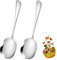 SwirlColor Serving Spoons Large, 2 Pcs Stainless Steel Buffet Serving Spoons Silver Catering Serving Spoons with Long Handle for Home Restaurant Banquet