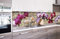 Dimex Küchenrückwand Folie selbstklebend Orchidee | Klebefolie - Dekofolie - Spritzschutz für Küche | Made in EU - 260 cm x 60 cm
