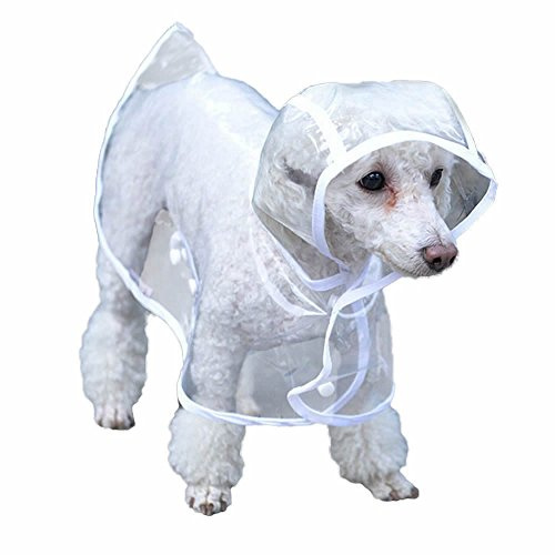Bunty Dog Coat | Raincoat, Waterproof, Clear PVC | Puppy Raincoat with Hood | Full Body Rain Coat Waterproof Dog Jacket | Clothes for Walking (L)