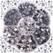 BLINGINBOX 3000 Stück Mischgrößen DMC Hot Fix Rhinestone Glas Strass Rot Hotfix Strasssteine Eisen auf Steinen für Kleidungsstück Crystal