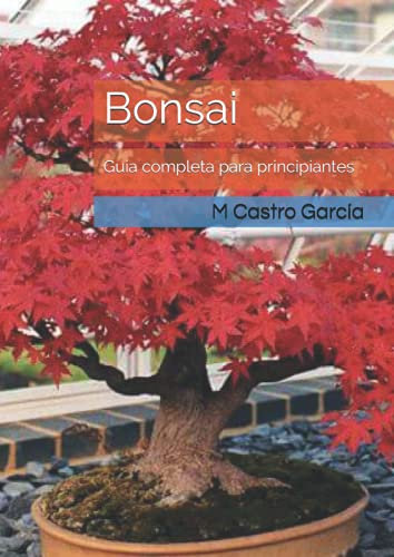 Bonsai: Guía completa para principiantes