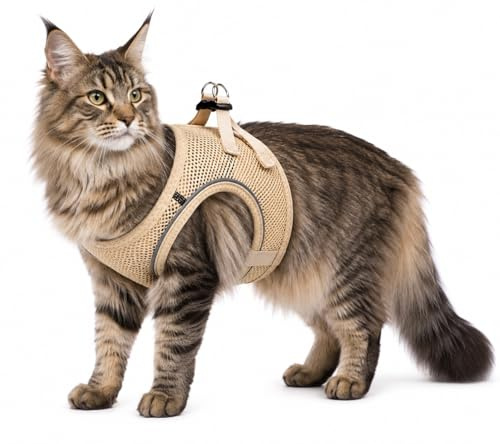 katzengeschirr - Step&Go Berta beige L - 30-34 cm / 48-52 cm - Nylon mit atmungsaktivem mesh und reflektierenden Streifen