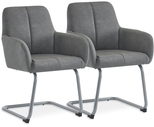 SEEDWAVE Freischwinger Stühle 2er Set, Mit Armlehnen, PU-Leder Polsterung, Esszimmerstühle in Grau mit Verstärkten Ecken