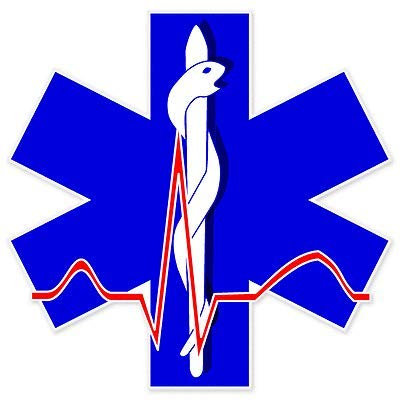 12cm! Klebe-Folie Wetterfest Made-IN-Germany Star Life Paramedic Medic Medical car K304 UV&Waschanlagenfest Auto-Aufkleber Sticker Decal