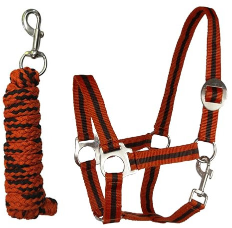 Brama West Halfter Set für Pferde - Halfter & Führstrick - Farbe Schwarz/Orange, Gr. Cob