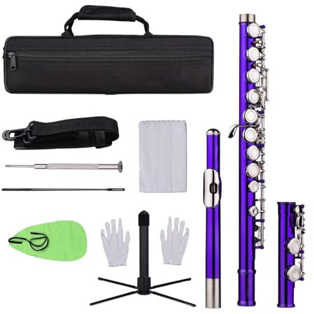 Professionelle Querflöte C-Flöte Mit Geschlossenem Loch, 16 Klappen, Vernickelte Kupfernickel-Flöte Mit Tragetasche Und Ständer (Color : Purple)