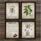 MYLHMPPJH Coffee Making Poster Print Coffee Percolator and Coffee Bean Canvas Painting Wall Art Picture Cafe Decor-40x50cmx4 Unframed