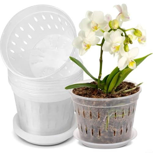 Alanmoship Set di 6 vasi per orchidee trasparenti, in plastica con fori e piattini, per Phalaenopsis e Cattleya, kit di rinvaso per orchidee (140)