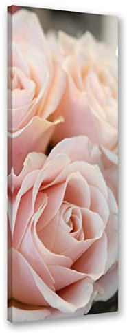 Feeby. Wandbild - 1 Teilig - 40x100 cm, Leinwand Bild Leinwandbilder Bilder Wandbilder Kunstdruck, ROSEN, NATUR, ROSA