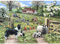 The House of Puzzles Puzzle 1000 pièces - Early Learning
