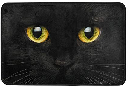 WowPrint Black Cat Pattern Door Mats Indoor Washable for Living Room Bedroom Home Decor, 60 x 40 cm