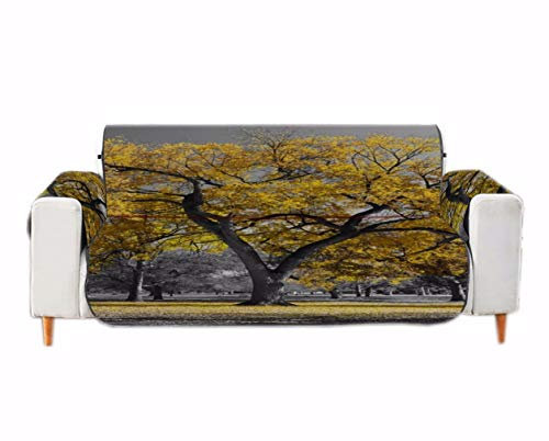 A.Monamour Sofabezug Sofaüberwurf Sesselschoner Herbst Baum Gelbe Blätter Parken Wald Naturlandschaft Samt Stuhl Abdeckung Sofa Abdeckung Sofaschoner Sofahusse Sofaschonbezug Sofaschutz