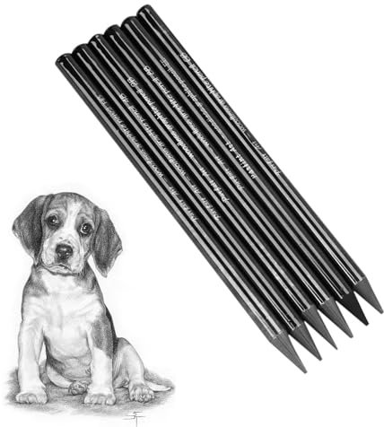 6 Stück Schwarze Bleistift Set Woodless Graphitstifte Set verschiedenen Härtegraden HB 2B 4B 6B 8B EE Bleistift Set Sketch Zeichnung Bleistift Set für Künstler Kinder Erwachsene Zeichnungen Liebhaber