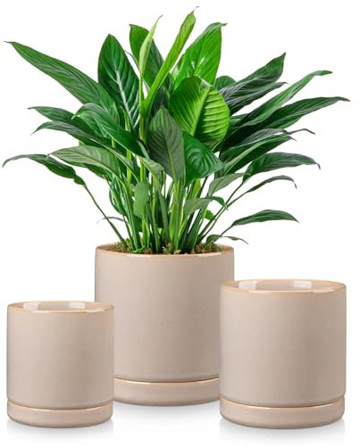 vancasso Keramik-Blumentöpfe, 3-teilige Pflanzgefäße für Zimmerpflanzen, 10,7 cm + 13,2 cm + 15,2 cm Blumentöpfe mit Drainage, Pflanztöpfe für den Innenbereich für Sukkulenten, Pothos,