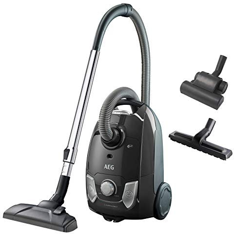 AEG Aspirateur VX4-1-GM-T avec sac (650 watts, portée de 7,5 m,) gris