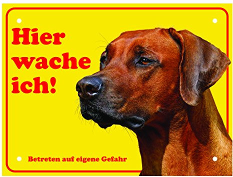 LUGUNO Schild Hund Rhodesian Ridgeback Warnung Vorsicht Hundeschilder Alu (20x15cm) mit 4 Eckbohrungen