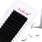 Fadlash Easy Fan Lashes D Curl 0.05 11mm Single Lashes Russian Lashes Natural Look Self Fanning Eye Lashes Automatic Blooming Russian Eyelashes Extensions(0.05-D-11)