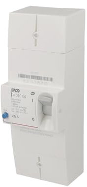 Legrand 401006 Disjoncteur de Branchement Enedis Bipolaire Différentiel, 500mA, Sélectif Intensité 60A