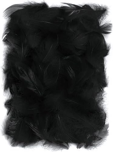 Netuno 150 Stück Deko Federn Schwarz 10g Flaumfedern schwarze Federn Schmuckfedern farbig Vogelfedern Bastelfedern Natur für DIY Basteln Dekoration Ostern Weihnachten Vogelfedern bunt zum Basteln